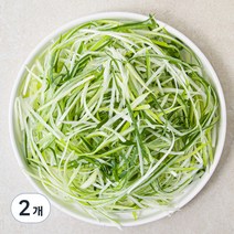 곰곰 국내산 파채, 500g, 2개