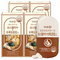 로엘 웰업 해조칼슘 보스웰리아 초록입홍합정, 4개, 30g