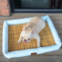 파스텔펫 파스텔 반려동물 쿨방석, 라이트블루