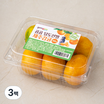 곰곰 당도선별 제주감귤, 500g, 3팩