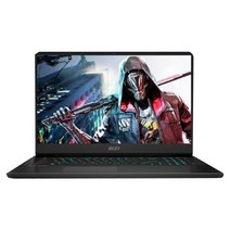 MSI 2023 벡터 GP77 13VG 17.3, All Black, 코어i7, 1TB, 16GB, Free DOS, MS-17K
