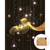 아트조이 물감 2배 DIY 명화그리기 40 x 50 cm, 르 쁘띠 프린스