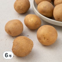 곰곰 국내산 조림감자, 1kg, 6개