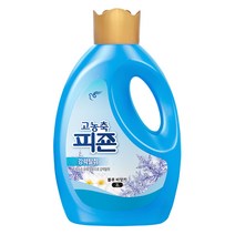 피죤 고농축 섬유유연제 블루 비앙카 본품, 2L, 1개