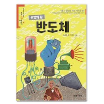 산업의 쌀 반도체, 미래아이