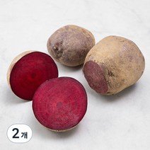 제주도 친환경 비트, 1kg, 2개