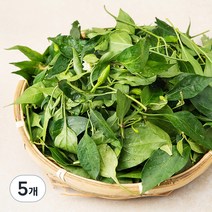 국내산 생고추잎, 300g, 5개