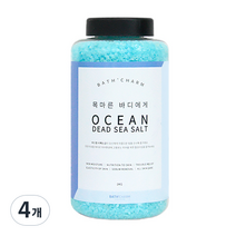 바스참 사해소금 오션 용기형, 1kg, 4개