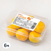 곰곰당도선별감귤, 500g, 6팩