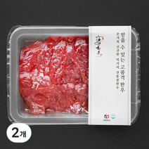 전통참한우 웻에이징 2등급 불고기용 (냉장), 2개, 250g