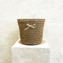 앙플랜트 리본 바구니