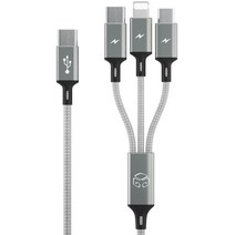 디지지 3in1 스마트폰 고속 충전 멀티케이블 스카이 메타 C, 200cm, 1개