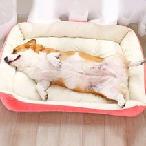 제제펫 소프트 컬러 애견방석, Y107PCNS002