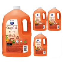 자몽 앤 민트 친환경 주방세제, 3L, 4개