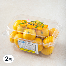 탐라황감 꼬마감귤, 800g, 2팩