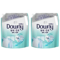 다우니 실내건조 세탁 세제 액체형 리필, 2.2L, 2개