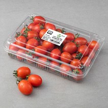 ONLYFARM GAP 인증 전남 담양 대추방울토마토, 1kg, 1개