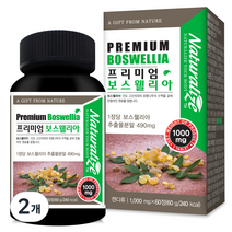 네추럴라이즈 프리미엄 보스웰리아 60g, 120정, 2개