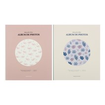 비팬시 4x6 포켓앨범 2단 2p, 랜덤발송, 40매