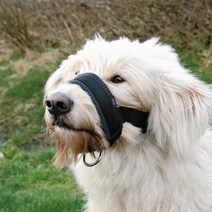 타이쿤 젠틀리더 나일론 머즐 중대형견 입마개 M