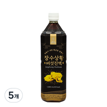 위드네이쳐 장수 상황버섯 진액, 5개, 1000ml, 5개
