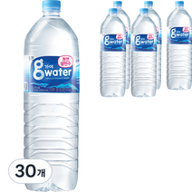 가야G워터 생수, 30개, 2L