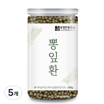 부영한방약초 뽕잎환, 5개, 300g