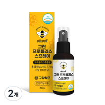 비웰 그린 프로폴리스 스프레이, 30ml, 2개