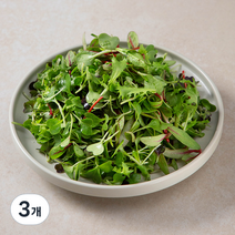 국내산 친환경 어린잎 채소믹스, 150g, 3개