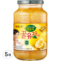 담터 꿀유자차, 1kg, 5개