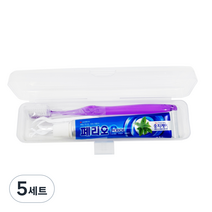 미소덴탈 여행용 칫솔 + 치약 + 일회용 치실 + 케이스 세트 랜덤발송, 5세트