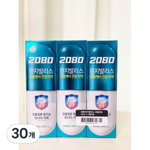 2080 진지발리스 치약 허벌민트향, 120g, 30개