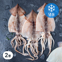 오바다 국내산 손질 오징어 4미 (냉동), 700g(4미), 2개