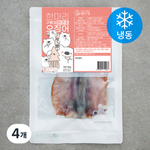 해선생 한마리 구룡포 반건조 오징어 (냉동), 130g, 4개