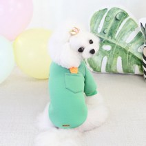 딩동펫 반려동물 당근 포켓 티셔츠, 그린