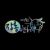 루키마켓 운전 스티커 02 캐릭터선호형 33 장롱면허, 오로라, 1개