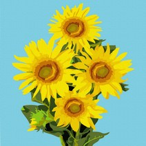 플레이어바웃 명화 그리기 DIY 세트 해바라기 네송이 피포페인팅 20 x 20 cm, 혼합색상
