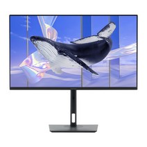 인터픽셀 80.01cm 4K UHD USB C타입 모니터, IPU3210(일반)