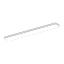 샤미즈 LED 켓 주방등 50W, 화이트