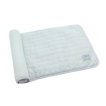 카르노 반려동물 심플 컬러 쿨매트, 그린