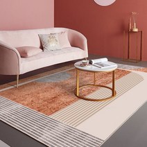 럭셔리한 기하학적 러그