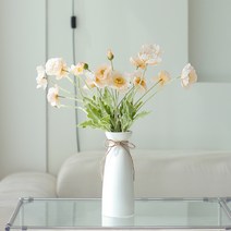 하루의공간 조화 프리미엄 양귀비 5p, 샴페인