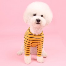 어썸키즈 반려동물 스트라이프 티셔츠, MUSTARD