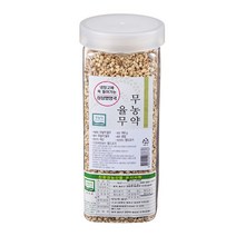 월드그린 싱싱영양통 무농약 율무, 900g, 1개