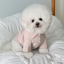 바이담수미 강아지 캔디 코튼 셔츠, 베이지