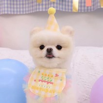 로위드 반려동물 생일파티 꼬깔모자 + 턱받이 세트, 옐로우, 1세트