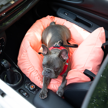 페스텝 강아지 카시트 드라이빙킷, 피치코랄, 1개