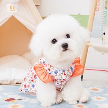 파스텔펫 반려동물 파티 플라워 원피스, 코랄