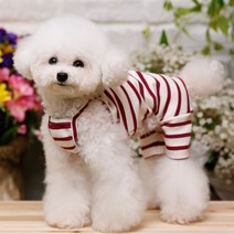 펫디자인 반려견 세인트 끈나시 올인원, 버건디