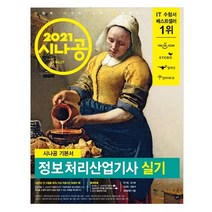 시나공 정보처리산업기사 실기(2021), 길벗